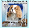 JESSY Canis Satelles V-ce TOP cavalier 2014